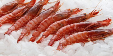 Gambas made in cameroon