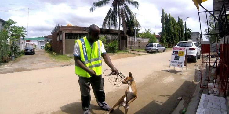 Bafang : quand nos chiens n’aboient plus que dans la marmite.