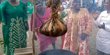 40 millions pour une boule de koki : folie, symbole ou nouveau record ?